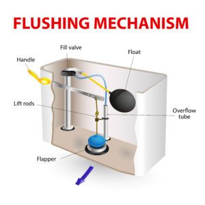 Flushing mechanism