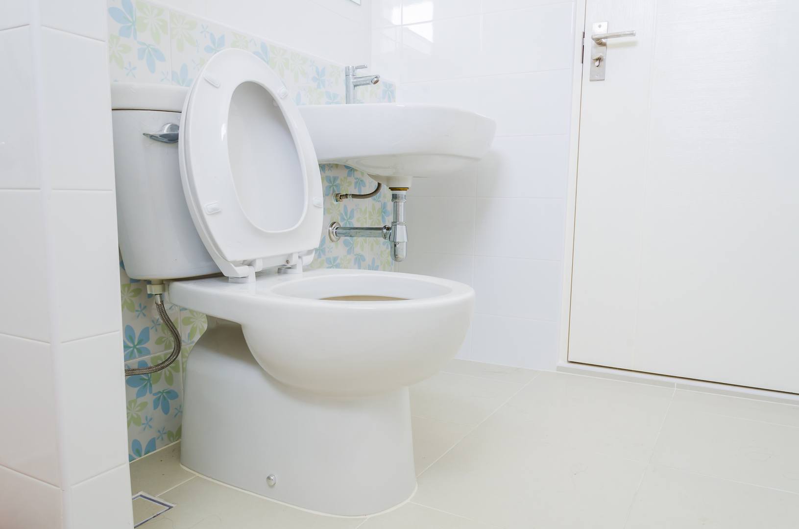 Toilets Repairs