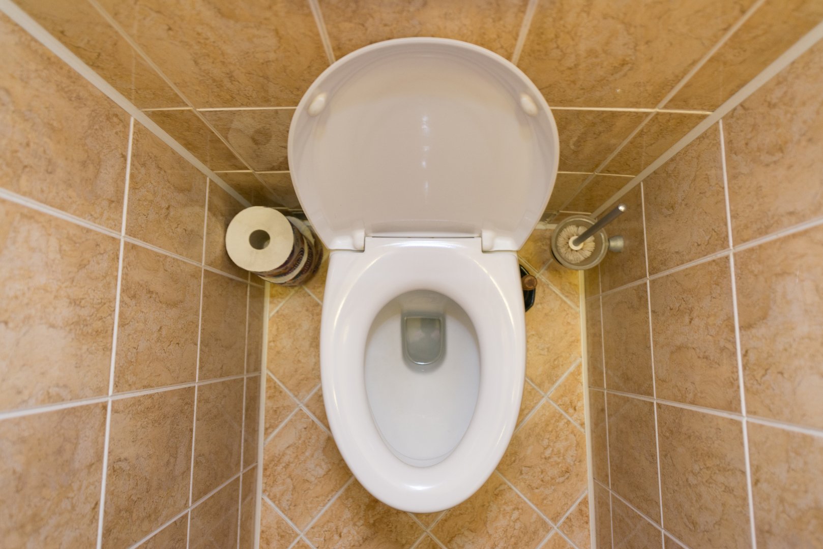Toilet Installation